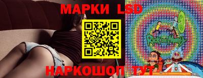 дмт Будённовск