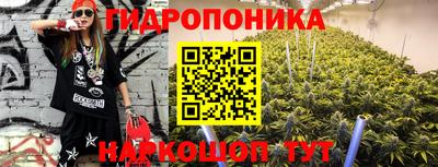 дмт Будённовск