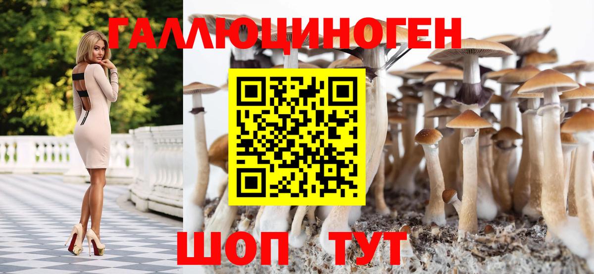 Галлюциногенные грибы Cubensis Котлас