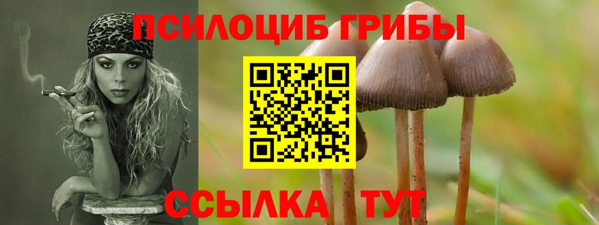 наркотики  Вход с VPN  Котлас  Псилоцибиновые грибы Magic Shrooms 